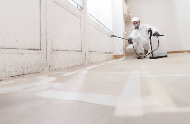 24/7 Emergency Attic Mold Remediation experts in Elk Grove Village, IL